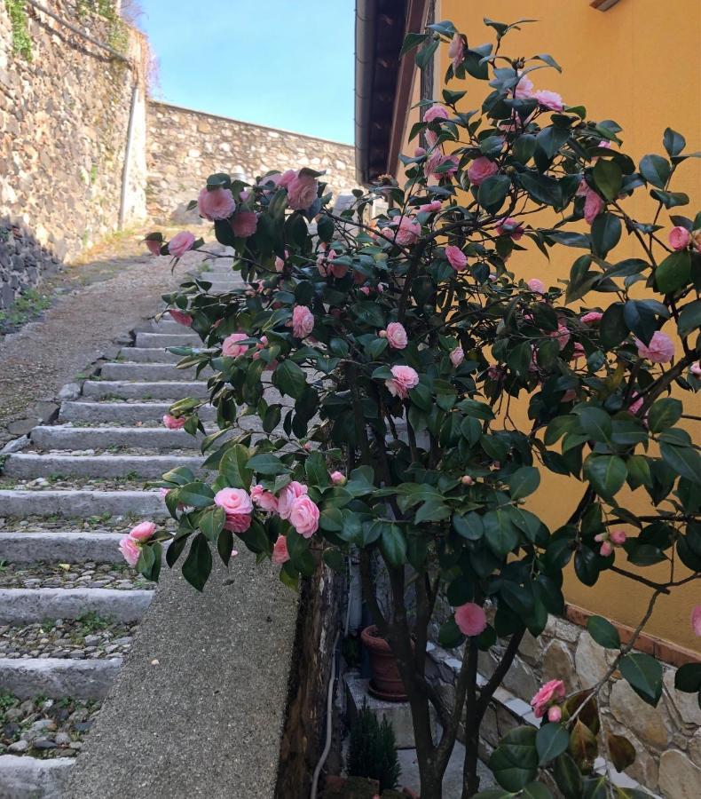 B&B Alle Scalette Trissino Eksteriør bilde